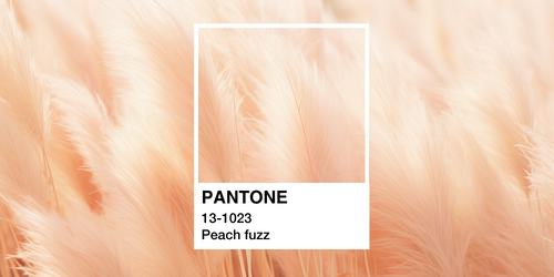 Peach Fuzz couleur Pantone 2024