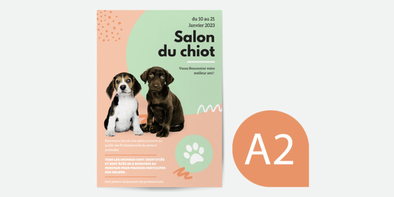 47-affiche_a2